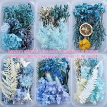 5-10pcs/Box Preserved Flowers/Photo Frame Decor Flowers - In Stock, Suitable For Christmas Decoration And Home Decor
