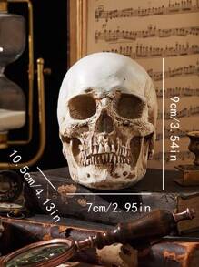 1個古董人骨模型,帶有破舊效果,適用於萬聖節裝飾、藝術攝影道具 - 彩色 - 查看 3