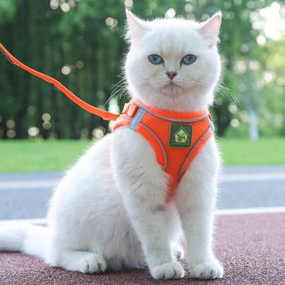1套寵物胸甲和牽繩,柔軟網眼,舒適、透氣、反光、可調節,胸背帶、小型寵物背心、不帶項圈、貓狗牽繩、四季通用