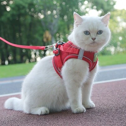 1套秋冬季馬甲式柔軟舒適反光可調節寵物胸背帶和拖繩,無拉力束繩,貓拖繩