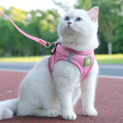 Un Conjunto De Correa De Pecho Y Espalda Para Mascotas Con Correa Para Gato Y Perro, Adecuada Para Las Cuatro Estaciones, Tamaño Pequeño/mediano, Correa Anti-ahogo Para Perros En Estilo Chaleco, Caminata Al Aire Libre Con Malla Cómoda Y Ajustable Y Correa Reflectante Para El Pecho Y La Espalda Del Gato