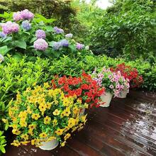 4 件裝人造小雛菊花,適合家居、花園、景觀、節日、窗戶和派對裝飾