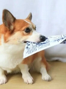 1pc Randomly Sent Pet Sound Toy, With Rustle Paper And Newspaper Design, Stress Relief - Multicolor - View 2