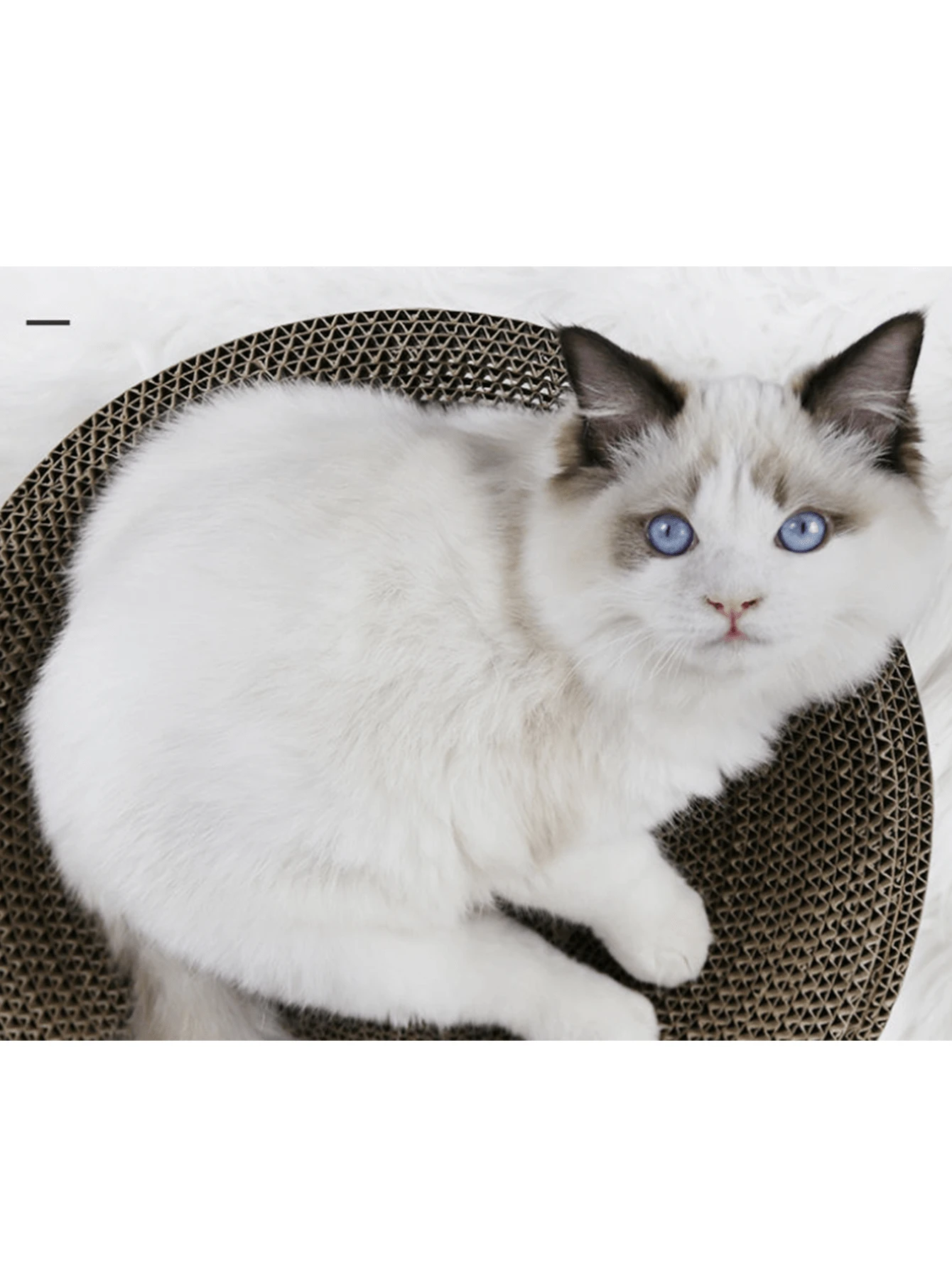 1pc Cat Scratching Board & Bed & Feeding Bowl Combo, Extra Large