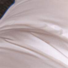 1pc Goose Down Feather Filled King Size Bed Pillow M Firm Support Hotel Feather Series Pillow Shell For Sleeping, Bedding - White - View 10