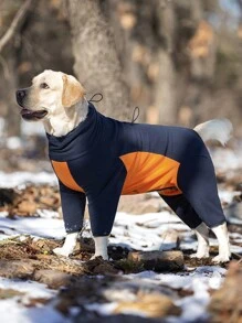 1件橙色大型犬柯基秋冬保暖絨毛外套,中大型犬犬外出/室內穿著保暖套裝 - 橘色 - 查看 2