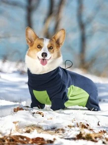 1 件绿色保暖内衬狗狗衣服柯基犬冬季保暖外套适合中大型犬，适合户外和室内穿着 - 綠色 - 查看 3