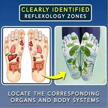 五指襪,健康保健襪子,獨特穴位圖,足底按摩襪子,指壓反射療法襪子和按摩棒,舒緩腳部疲勞-1雙+1按摩棒! - 白色 - 查看 2