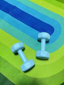 1pc Home Gym Women's Indoor Yoga Training Exercise Hexagonal Dumbbell For Arm Muscle