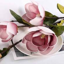 Flor De Magnolia Color Café, 4 Cabezas, Adecuada Para Decoración Del Hogar, 1 Ud. - Café integral - Ver 1