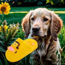 Juguete Para perro En Forma de Sandalia - Caqui - Ver 1