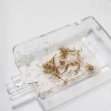 Cortador de Puntas Abiertas Para Cabello Seco, Dañado y Quebradizo , Cortador De Puntas Abiertas Del Cabello Split-ender Máquina Para Cortar Puntas Abiertas Del Cabello Dañado RECARGAR PRIMERO PARA SU USO Elimina Orzuela y Puntas Maltratadas - Multicolor - Ver 8