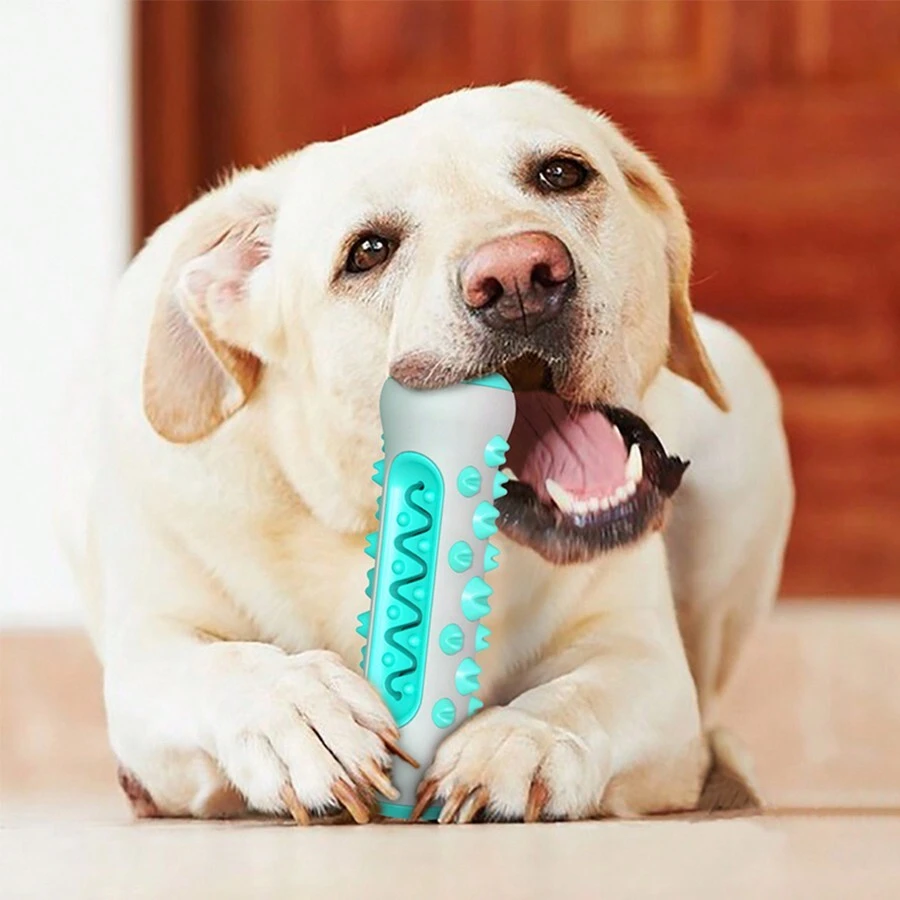 1個灰藍色寵物咀嚼玩具,狗用牙齒清潔tpr&尼龍材質骨形咬具具有抗咬特性,易於清潔,適用於狗的牙齒清潔、消遣、娛樂、促進消化和戶外旅遊玩具