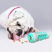 1個灰藍色寵物咀嚼玩具,狗用牙齒清潔tpr&尼龍材質骨形咬具具有抗咬特性,易於清潔,適用於狗的牙齒清潔、消遣、娛樂、促進消化和戶外旅遊玩具
