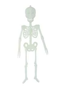 1件萬聖節幽靈節日發光骷髏骨骨架模型,詛咒房間恐怖裝飾道具,塑料模擬人類吊飾 - 白色 - 查看 8