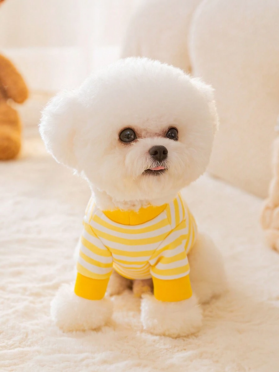 Áo nỉ & Áo Hoodie Thú cưng - Màu vàng - Xem 1