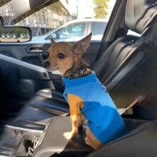 1 件藍色和黑色格子寵物抓絨背心,適合寵物牽引,秋冬 - 彩色 - 查看 3