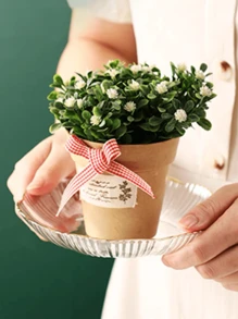 1入組透明糖果盤子