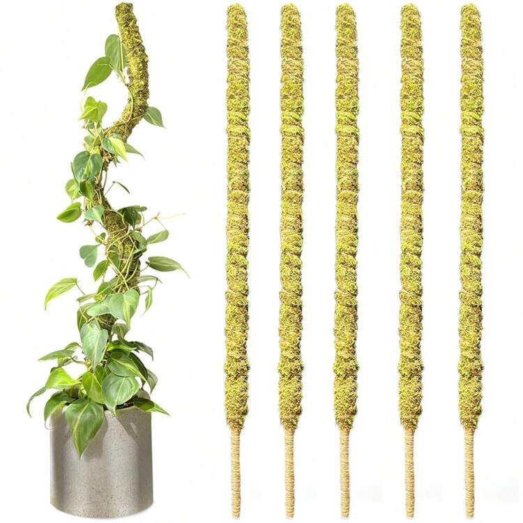 1pc Tall Moss Pole for Plant Monstera Bendable Plant Stakes Real