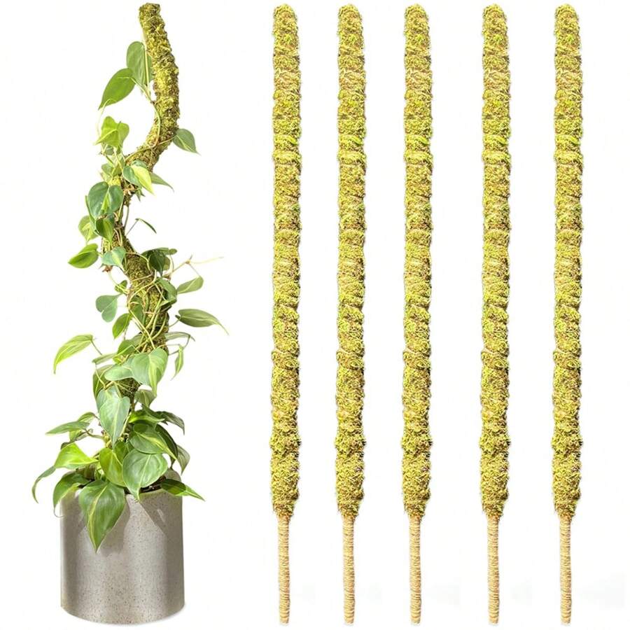 1枝70cm高的植物苔蘚柱,可彎曲的植物支架,真正的森林苔蘚棒,適用於盆栽植物支撐,尤其適合攀爬植物 - 70cm - 查看 1