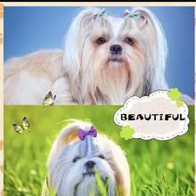 36pcs Assorted Cute Mini Bun Hair Clip Cute Baby Bangs Clip - Nhiều màu - Xem 7