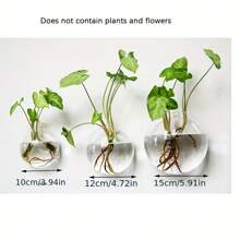 1入玻璃植物牆壁掛件,圓玻璃盆栽空氣植物掛盆花瓶空氣植物玻璃瓶驚奇球牆掛盆(附無縫釘和水晶黏土) - 無色 - 查看 3