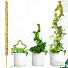 1枝70cm高的植物苔蘚柱,可彎曲的植物支架,真正的森林苔蘚棒,適用於盆栽植物支撐,尤其適合攀爬植物 - 70cm - 查看 3