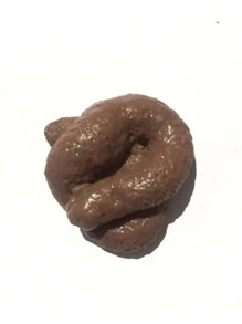 [隨機條紋] 1入有趣的惡作劇玩具禮物,搞笑的泰迪熊惡作劇玩具,玩笑玩具草坪惡作劇 - 棕色 - 查看 6