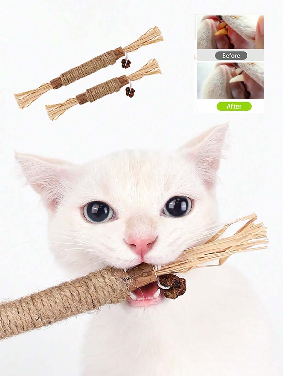 1pc Cat Toys Silvervine Chew Stick Pet Snacks Sticks Natural Stuff With Catnip For Kitten Cats Cleaning Teeth Cat Accessories - Multicolor - View 1