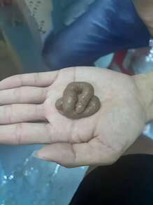 [隨機條紋] 1入有趣的惡作劇玩具禮物,搞笑的泰迪熊惡作劇玩具,玩笑玩具草坪惡作劇 - 棕色 - 查看 1