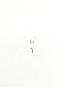 1盒480片，預製扇形，簇狀睫毛，3D，捲曲C，厚度0.1mm，自然柔軟，手工嫁接假睫毛