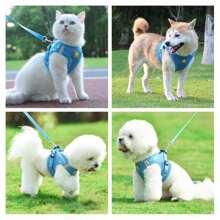 Pet Chest Strap And Traction Rope Set, Soft Mesh Comfortable Breathable, Reflective And Adjustable Cat And Dog Chest Strap, Small Pet Vest-style Non-leash Dog Rope, Cat Traction Rope, Suitable For All Seasons - Blue - View 6
