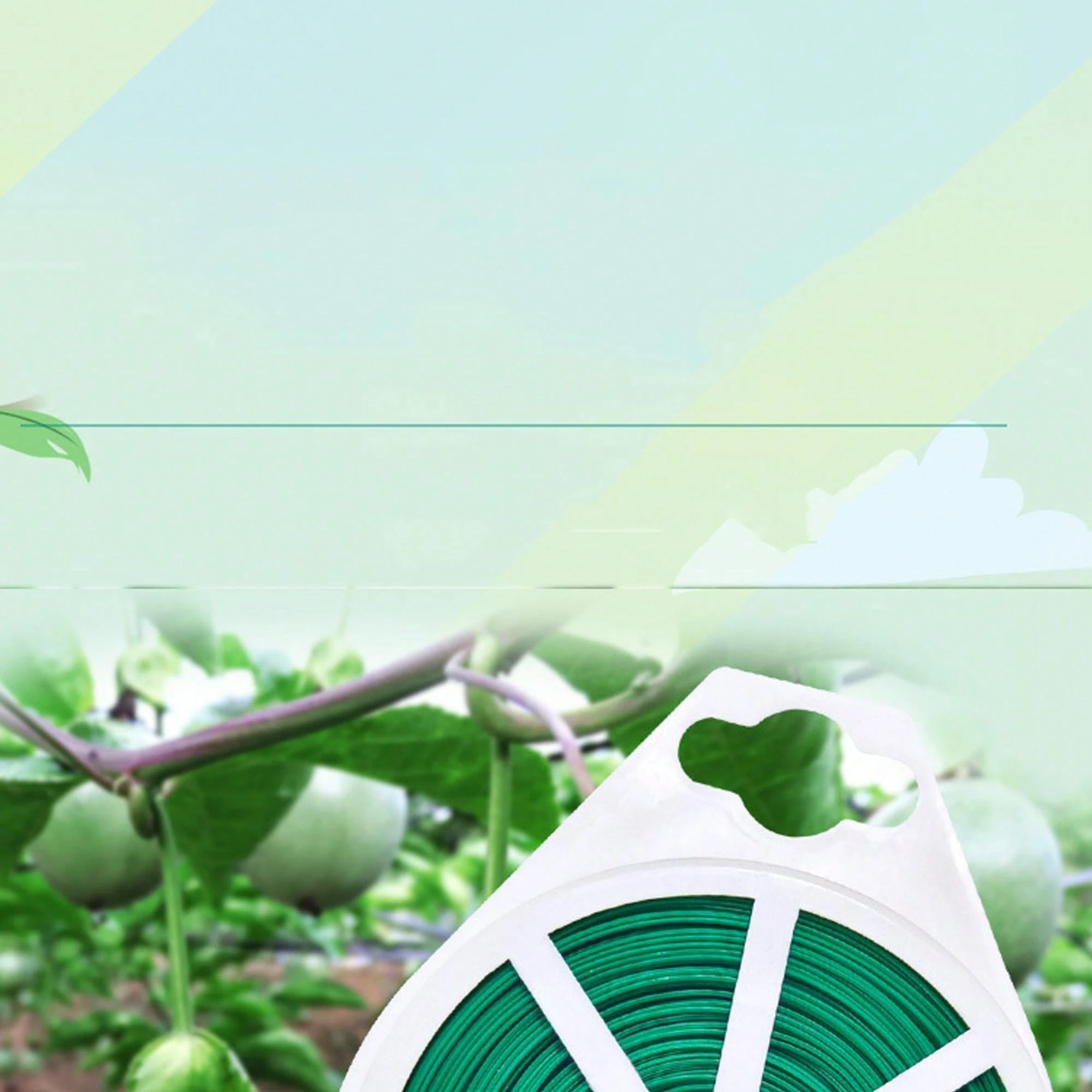 Windhager Filo Per Legare Fiori 100m - Filo Plastificato Per Bouquet E Composizioni Floreali - Foto 3