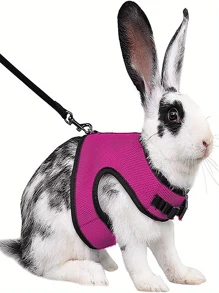 1pc Rabbit Harness With Leash For Small Animals, Vest Style - Hot Pink - View 1