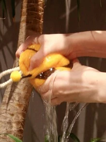 1條柔軟吸水熊貓/蜜蜂毛巾 - 彩色 - 查看 5