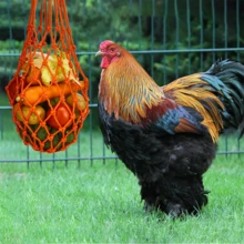 1入嵌編飼料網籠配件,適用於雞舍 - 黃色 - 查看 4