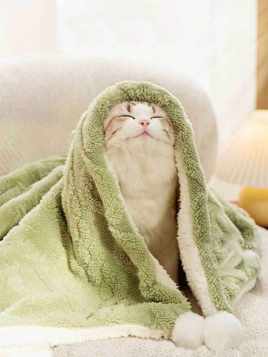 1入寵物毛毯,貓咪暖和毯子,厚床墊,適用於大、中、小家用寵物睡墊 - 綠色 - 查看 1