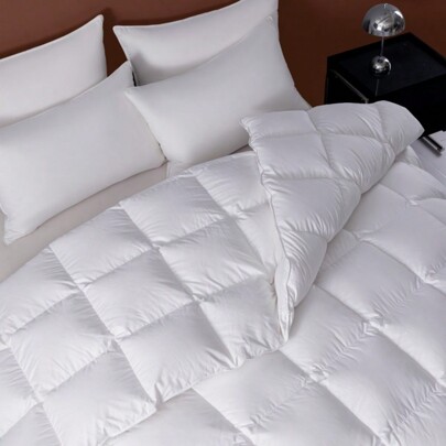 Ensemble De Confort Duvet 3pcs - Remplissage Alternatif En Duvet Pour L'automne Et L'hiver, Couette Chaude Avec 2 Taies D'oreiller, Confortable Literie En Microfibre Douce Et Respirante Avec Coins Élastiques - Lavable En Machine Blanc