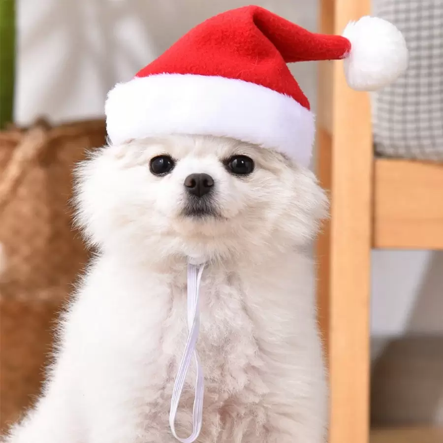 Cute Red & White Christmas Hat For Pet