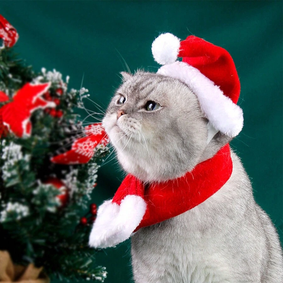 聖誕帽圍巾套裝 - 紅白色 - 查看 1