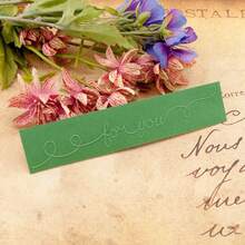 1pc Transparent Plastic Template For 6inx2in Debossed & Embossed Flower Making - Clear - View 6