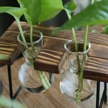 1入組透明玻璃花瓶附植物植物,創意桌上裝飾花盆,適用於客廳、書房或辦公室,綠植,仿真植物,完美的新家居禮物diy花瓶、辦公室裝飾、書房裝飾、客廳裝飾、臥室裝飾 - 復古色 - 查看 9