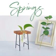 1入組透明玻璃花瓶附植物植物,創意桌上裝飾花盆,適用於客廳、書房或辦公室,綠植,仿真植物,完美的新家居禮物diy花瓶、辦公室裝飾、書房裝飾、客廳裝飾、臥室裝飾 - 復古色 - 查看 8