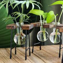 1入組透明玻璃花瓶附植物植物,創意桌上裝飾花盆,適用於客廳、書房或辦公室,綠植,仿真植物,完美的新家居禮物diy花瓶、辦公室裝飾、書房裝飾、客廳裝飾、臥室裝飾 - 復古色 - 查看 1