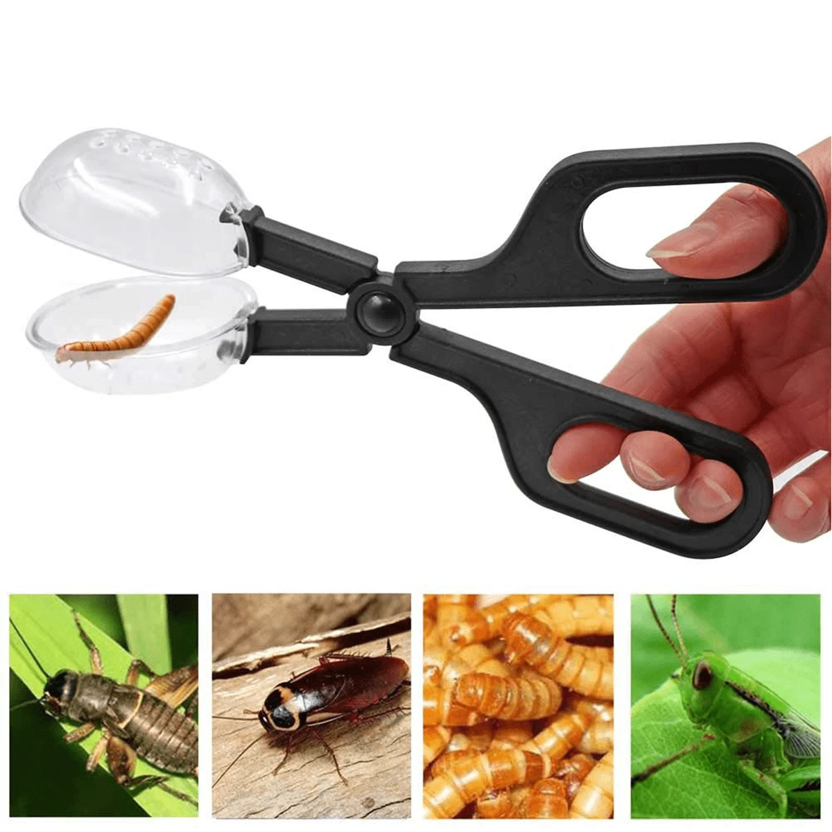 1pc Bamboo Stick & Clamp Insect Breeding Kit For Mealworms - Black - View 1