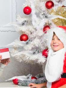 1pc Artificial Gold Powdered Bird Shaped Christmas Tree Clamp Decoration Ornament, Christmas/gardening/crafts/patio Decor - Silver - View 2