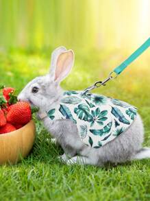 Supet 1 Peça Conjunto De Arnês E Guia Para Animais De Estimação Respirável E Fashion Com Padrão Impresso Para Atividades Ao Ar Livre (adequado Para Coelhos)