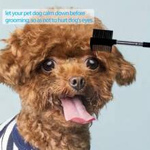 2 件双头狗泪梳，温和清洁眼部并去除泪痕 - 适合小型犬和猫（黑色） - 黑色 - 查看 5