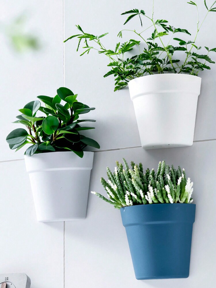 壁掛け プランター シンプル サクセスカップ グリーンローズ 多肉植物