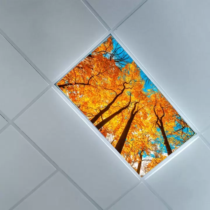 Plastic Fluorescent Light Diffuser Panels Shelly Lighting